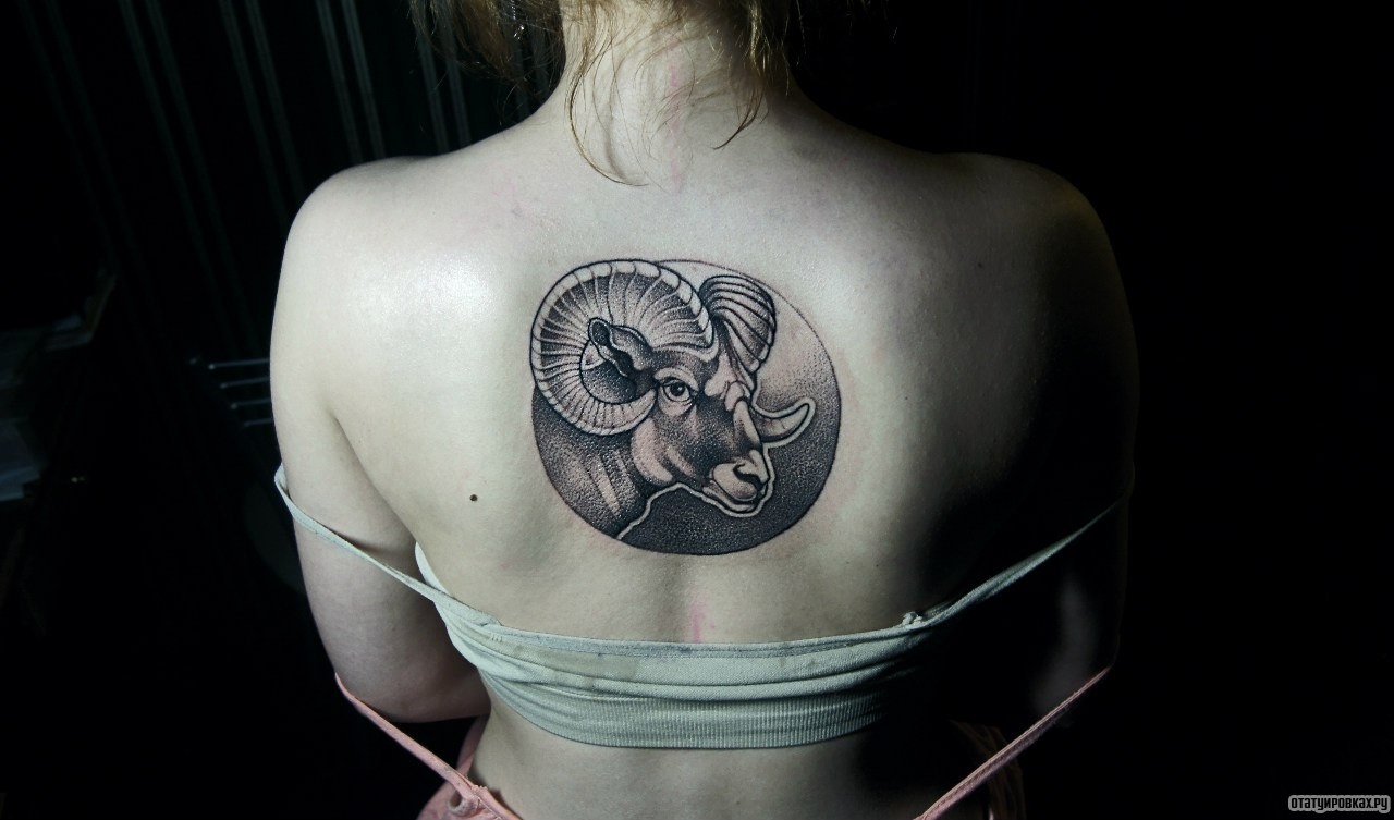 Фотография татуировки под названием «Барат в круге»