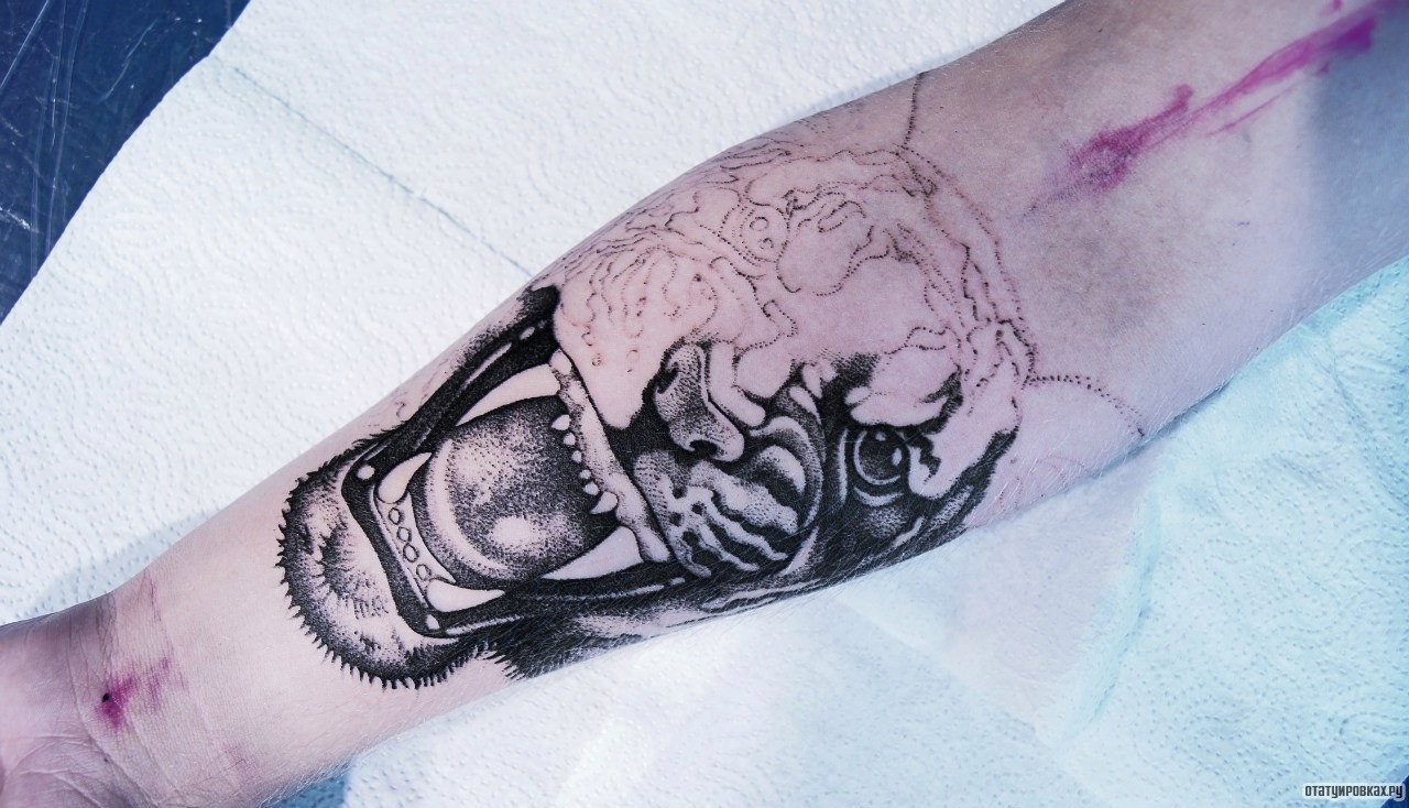 Фотография татуировки под названием «Морда тигра недоделанная»