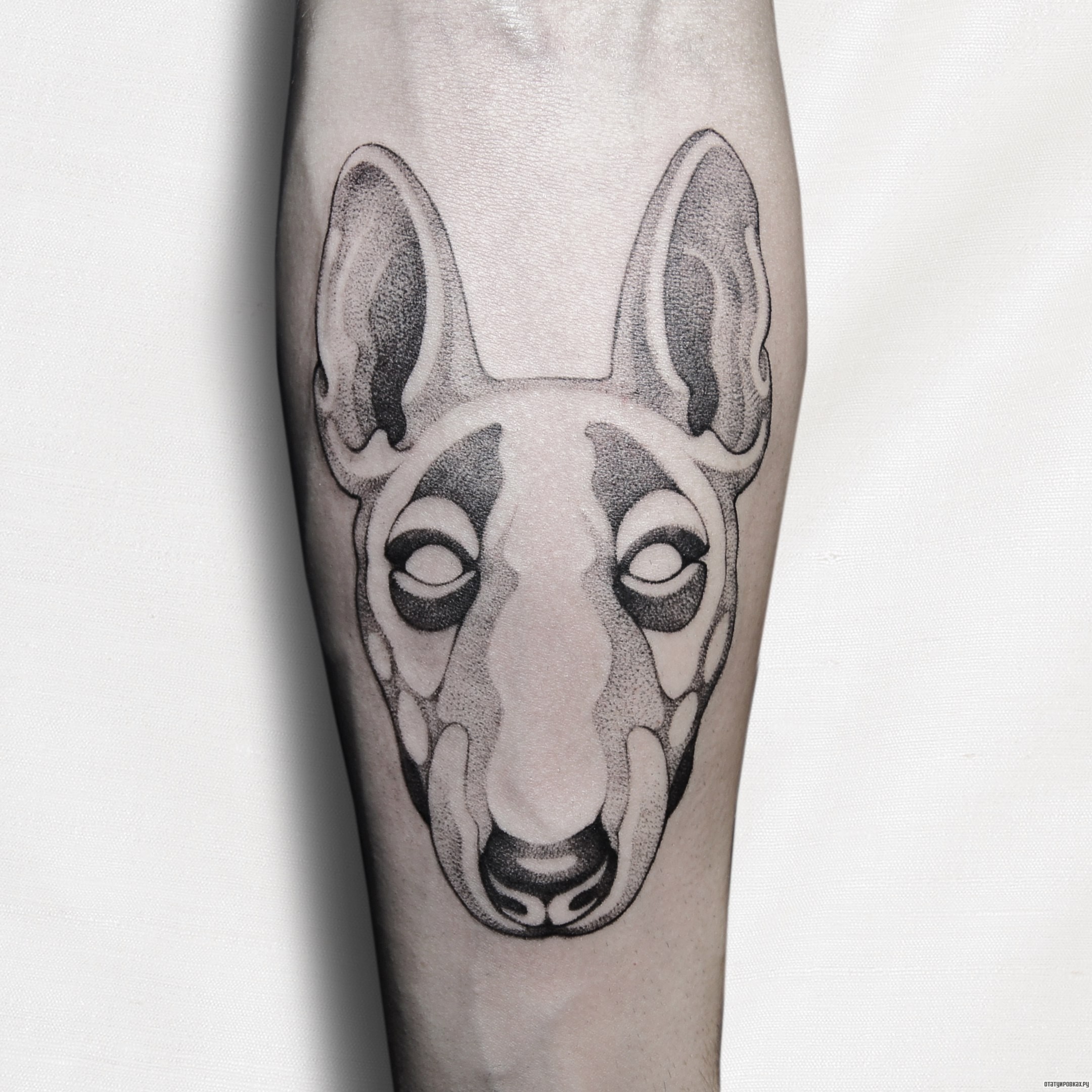 Фотография татуировки под названием «Морда собаки»