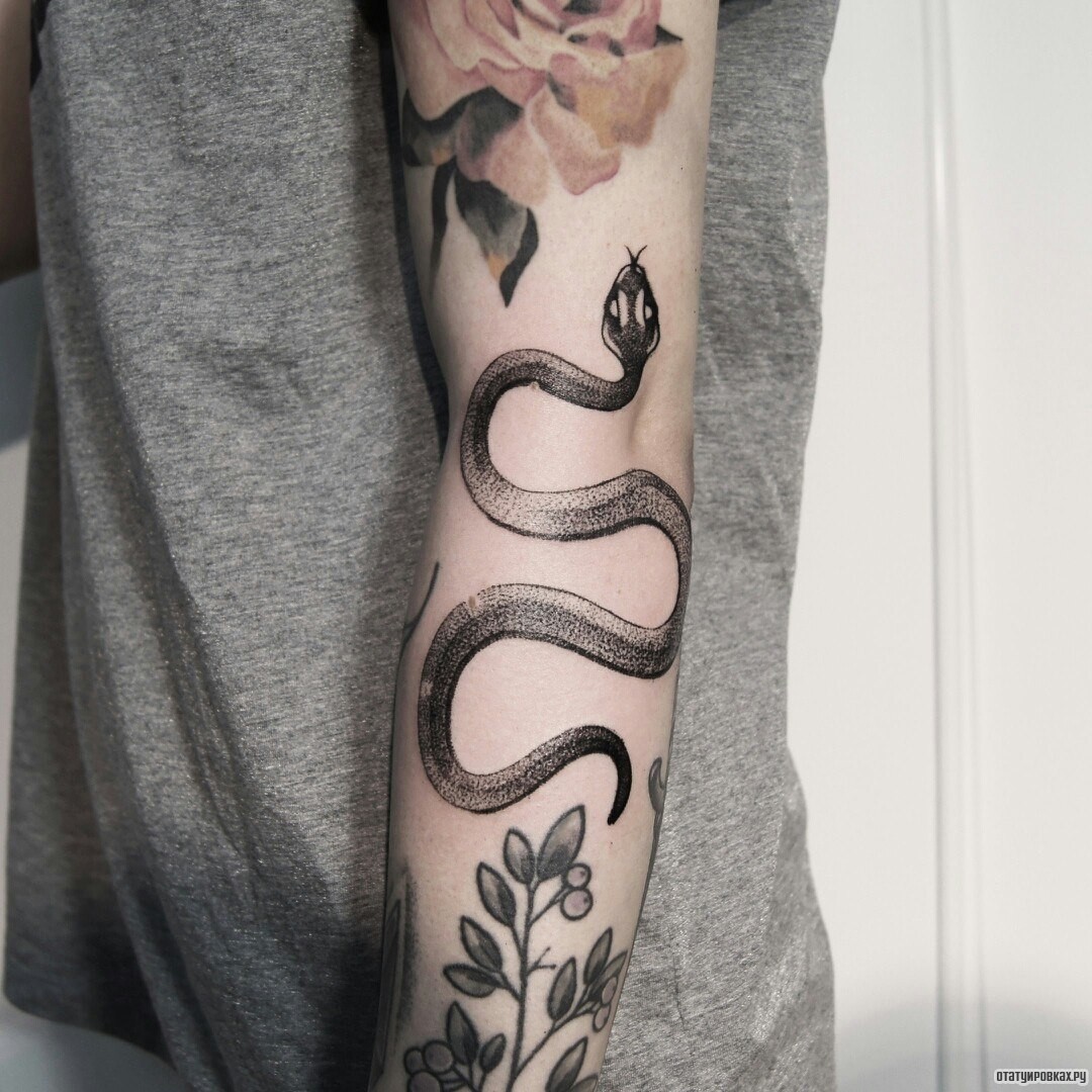 Фотография татуировки под названием «Змея и ветка»