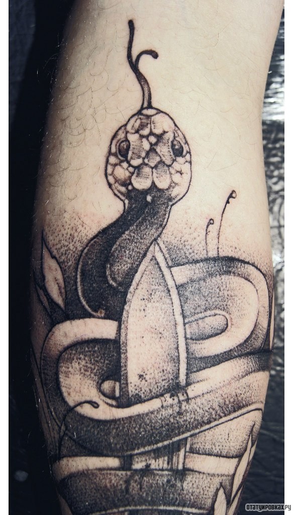 Фотография татуировки под названием «Змея обвивает кинжал»