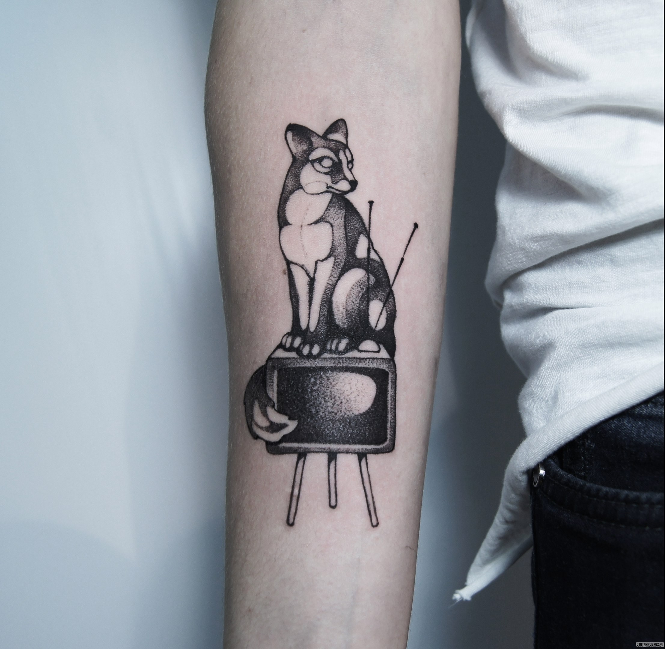 Фотография татуировки под названием «Кот на телевизоре»