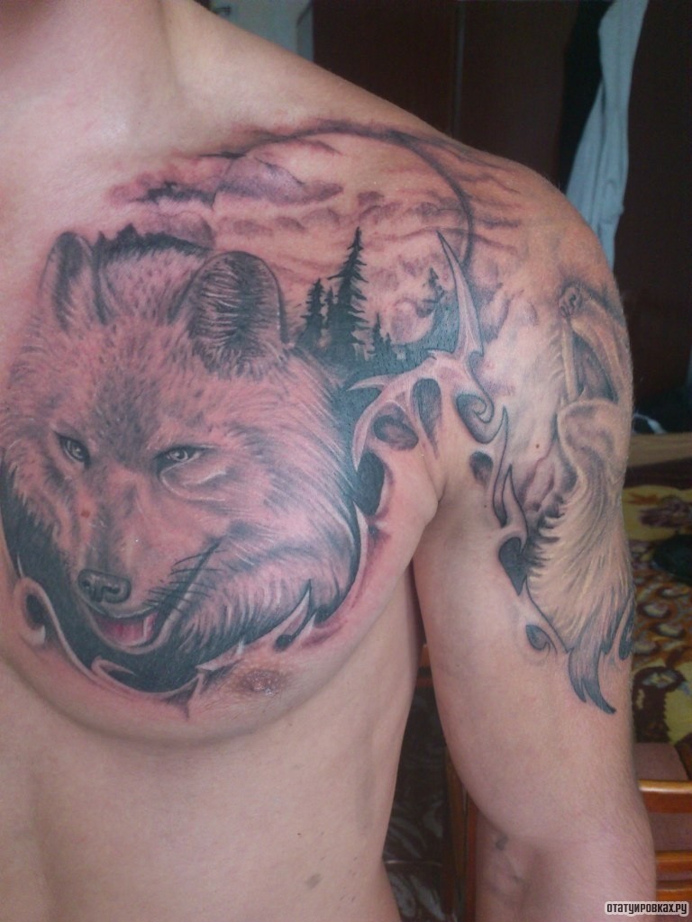 Фотография татуировки под названием «Волк и фоне елок»