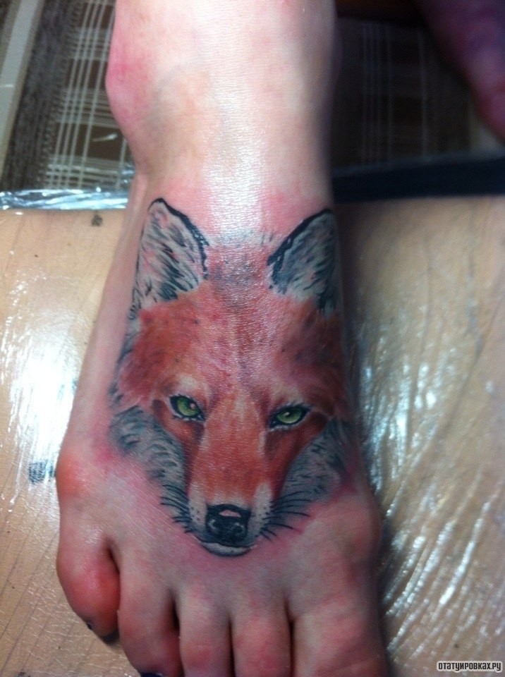Фотография татуировки под названием «Голова лисы»
