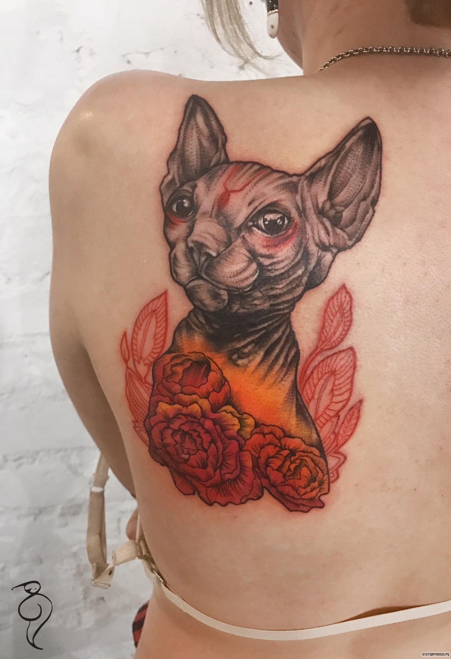 Фотография татуировки под названием «Кот сфинкс и цветы пионы»