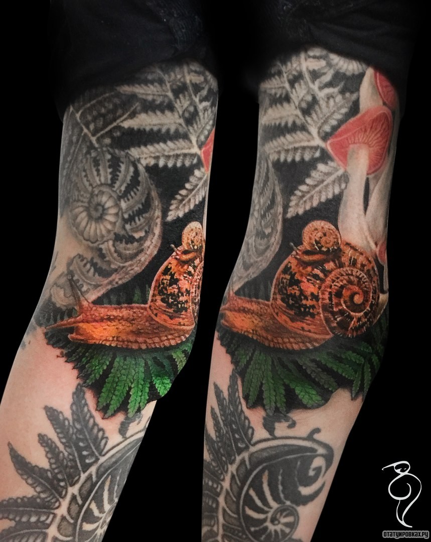 Фотография татуировки под названием «Улитка в зелени»