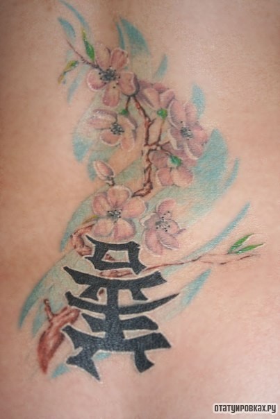 Фотография татуировки под названием «Сакура и иероглиф»