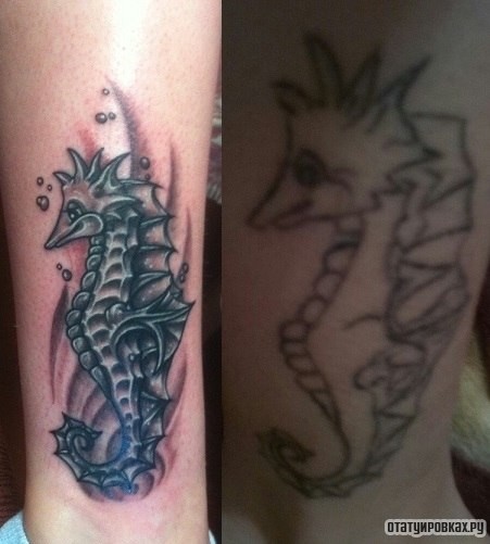 Фотография татуировки под названием «Морской конек»