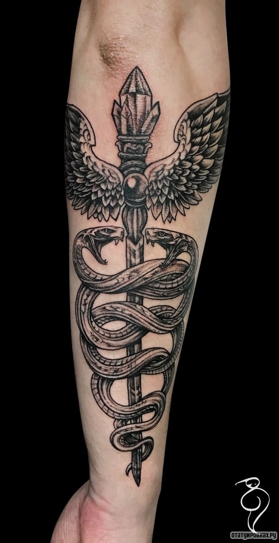 Фотография татуировки под названием «Две змеи обвивают крылатый меч»