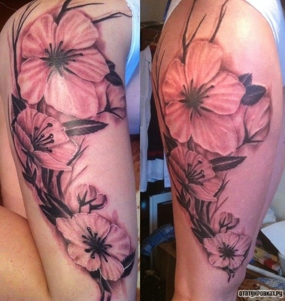 Фотография татуировки под названием «Орхидеи»