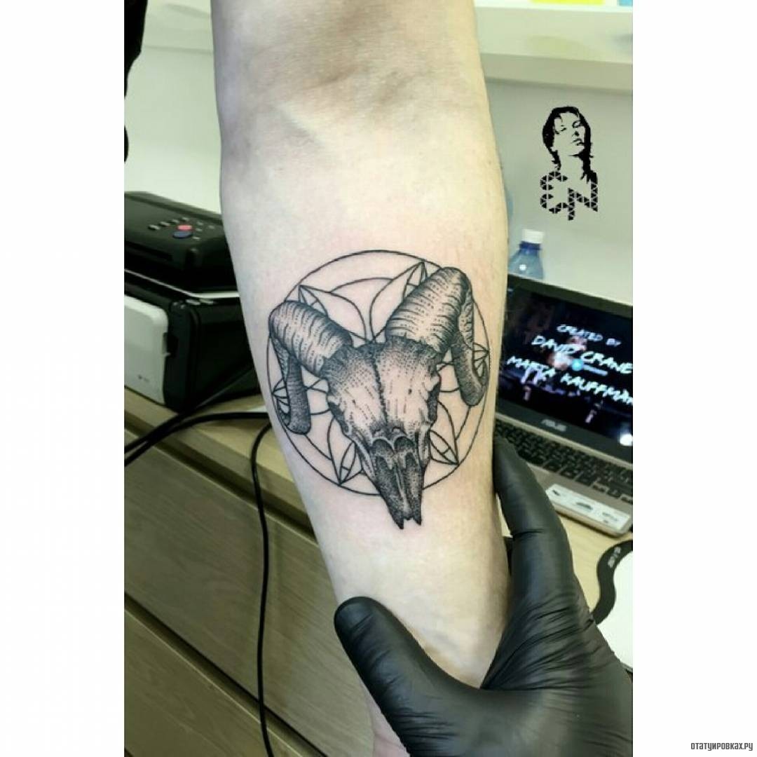 Фотография татуировки под названием «Череп животного»