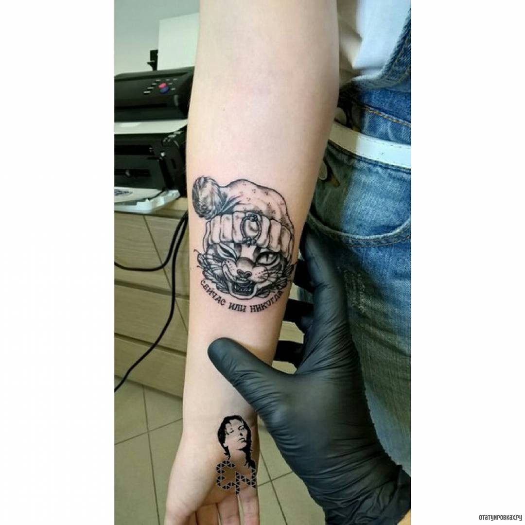 Фотография татуировки под названием «Кот в шапке»