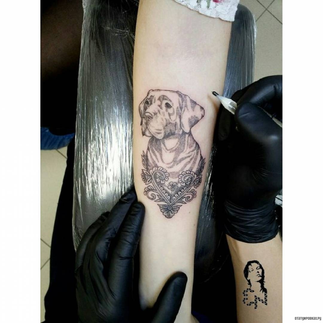 Фотография татуировки под названием «Собака в узоре»