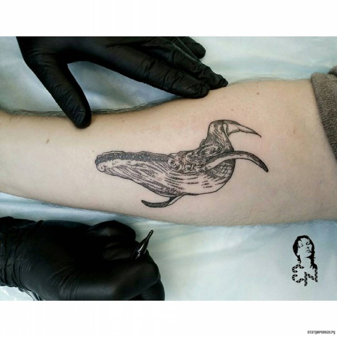Фотография татуировки под названием «Кит»