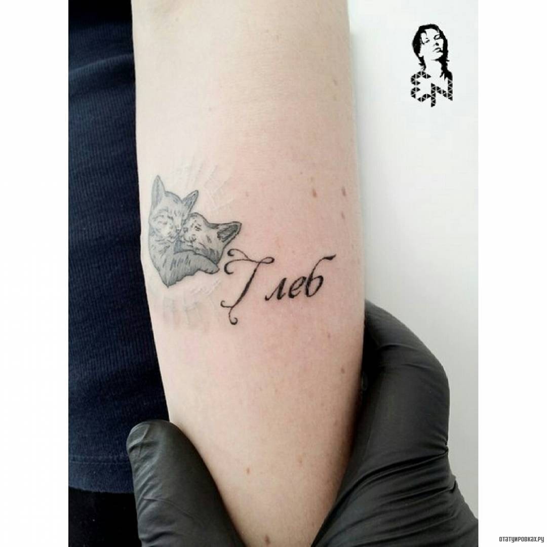 Фотография татуировки под названием «Два кота и надпись глеб»