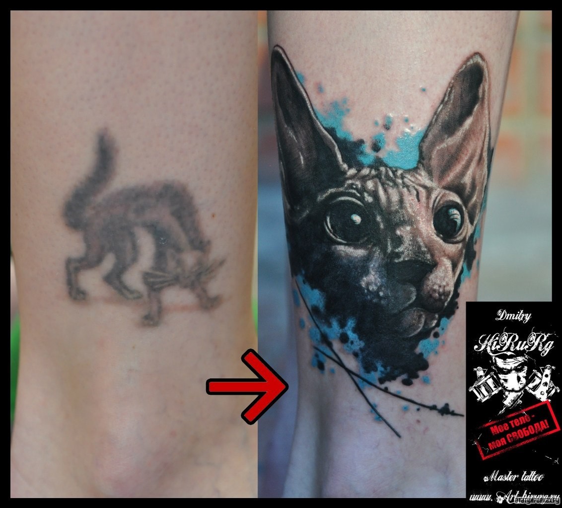 Фотография татуировки под названием «Сфинкс кот»