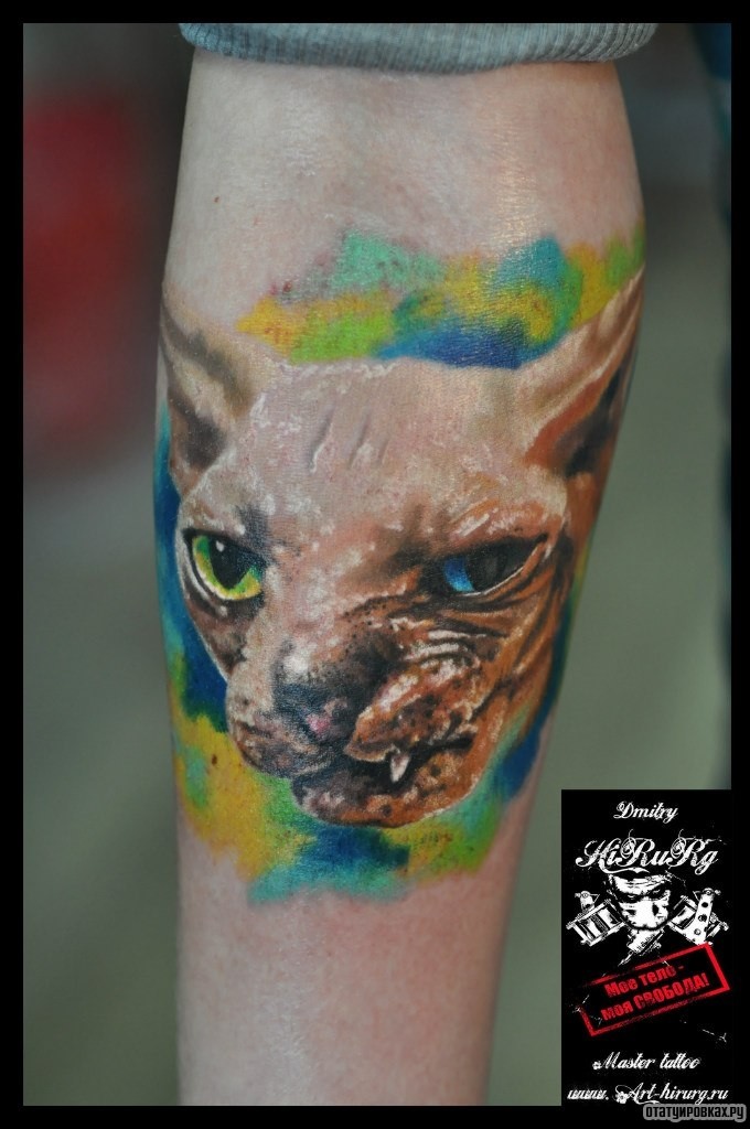 Фотография татуировки под названием «Морда кота»