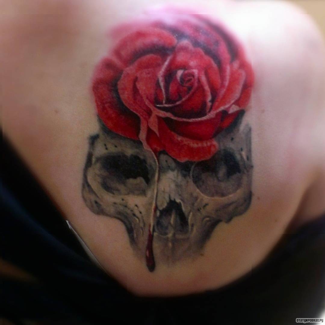Фотография татуировки под названием «Роза и череп»