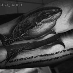 акула рамштайн мастера Анастасия Басова