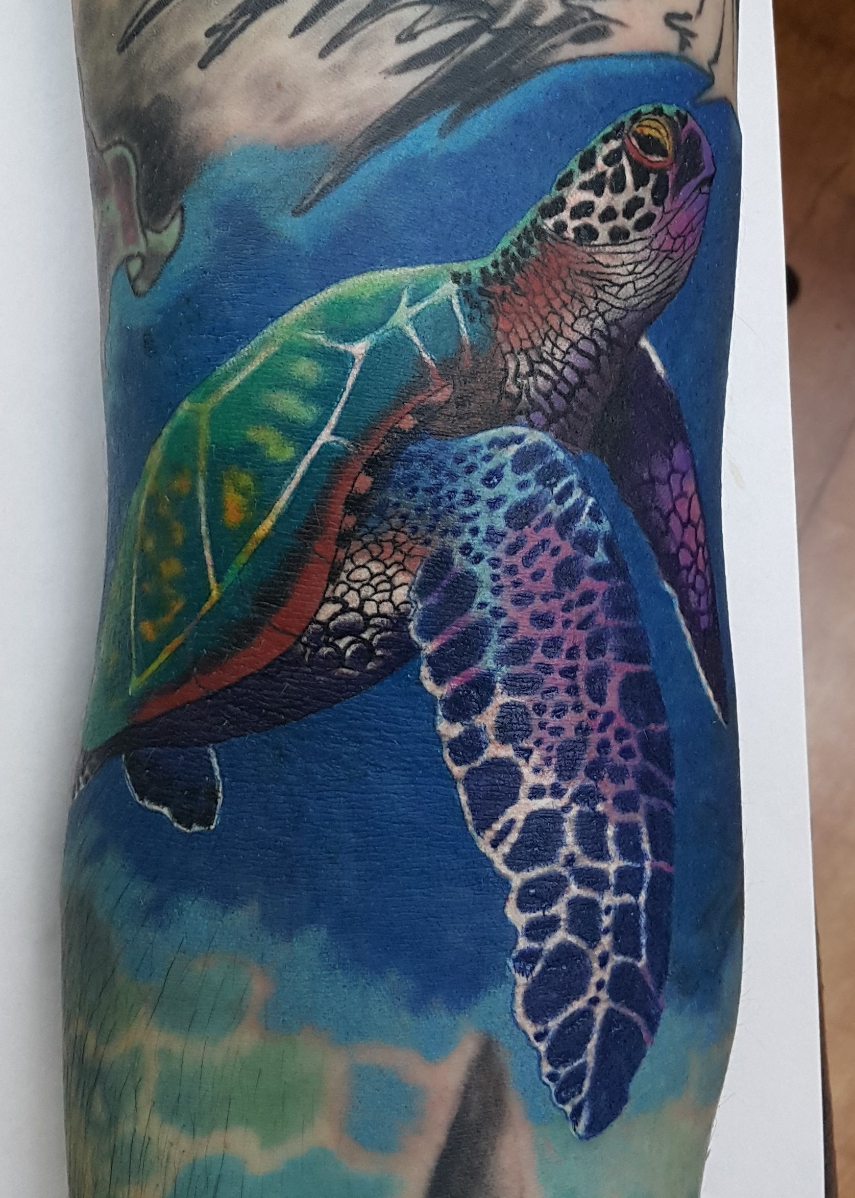 Фотография татуировки под названием «Морская черепаха»