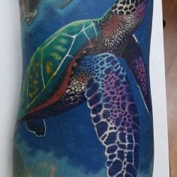 Морская черепаха на руке