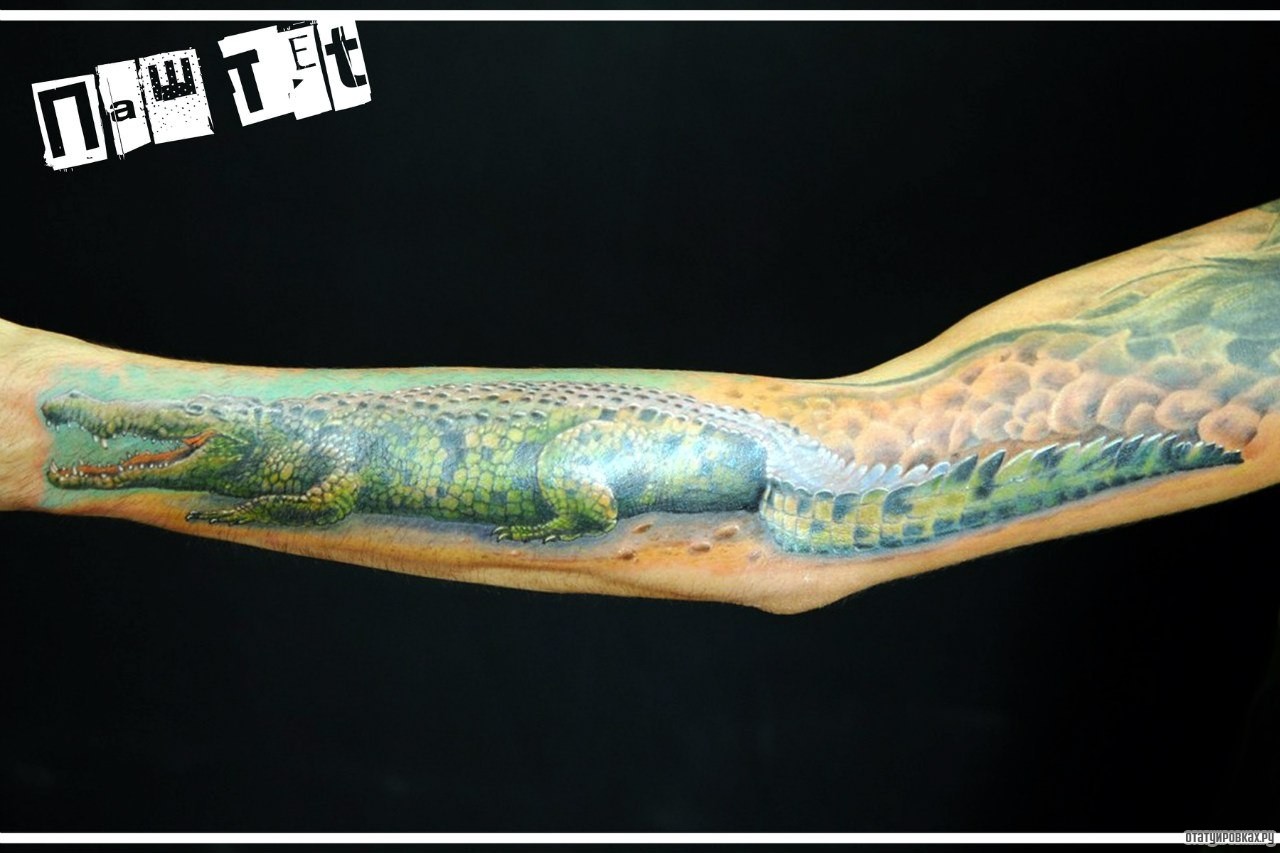 Фотография татуировки под названием «Большой крокодил»