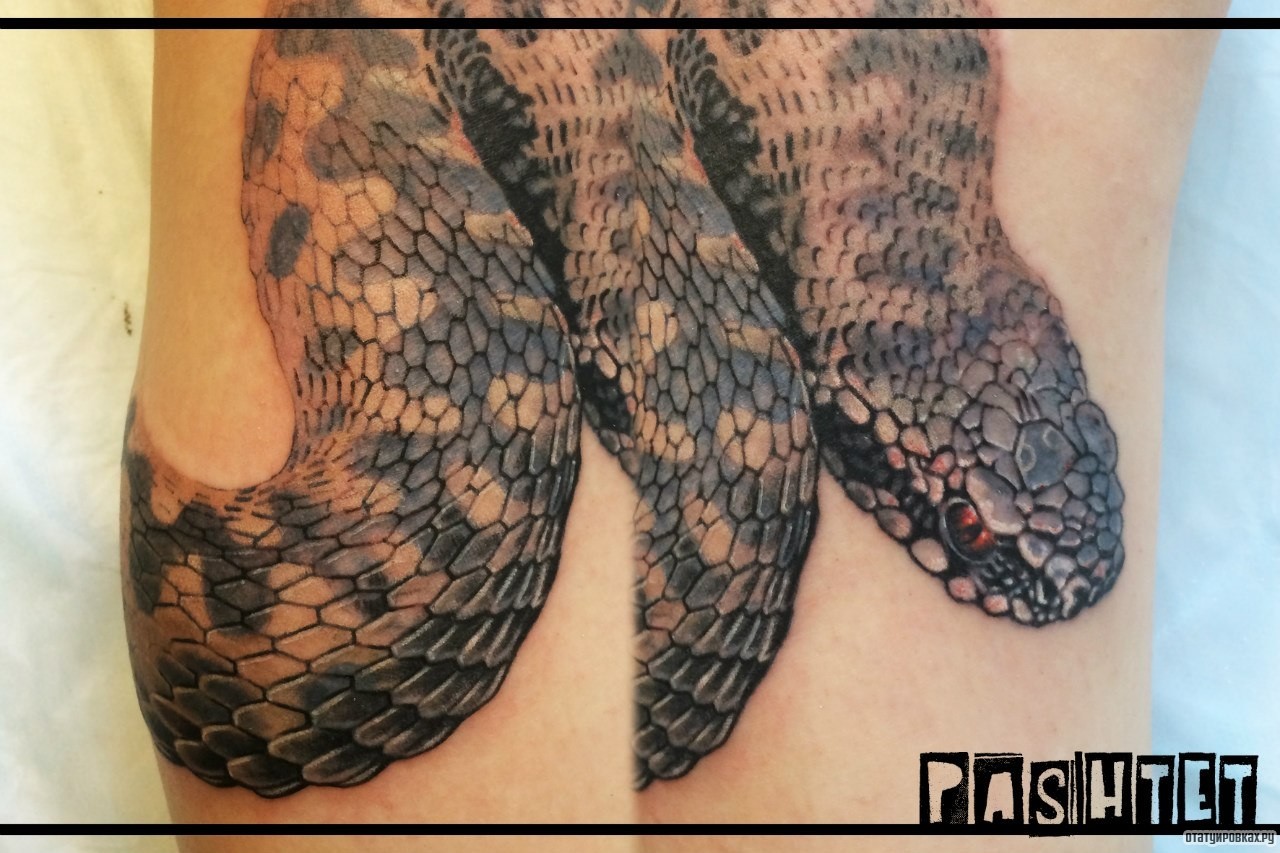 Фотография татуировки под названием «Змея»