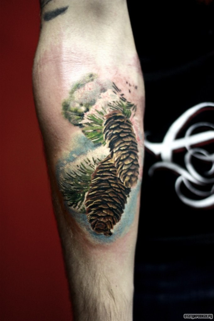 Фотография татуировки под названием «Еловые шишки»