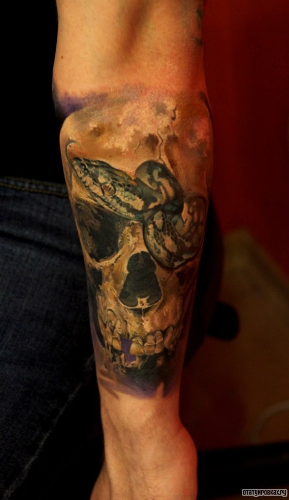 Фотография татуировки под названием «Череп и змея»