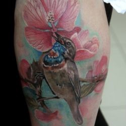 Птичка и орхидея