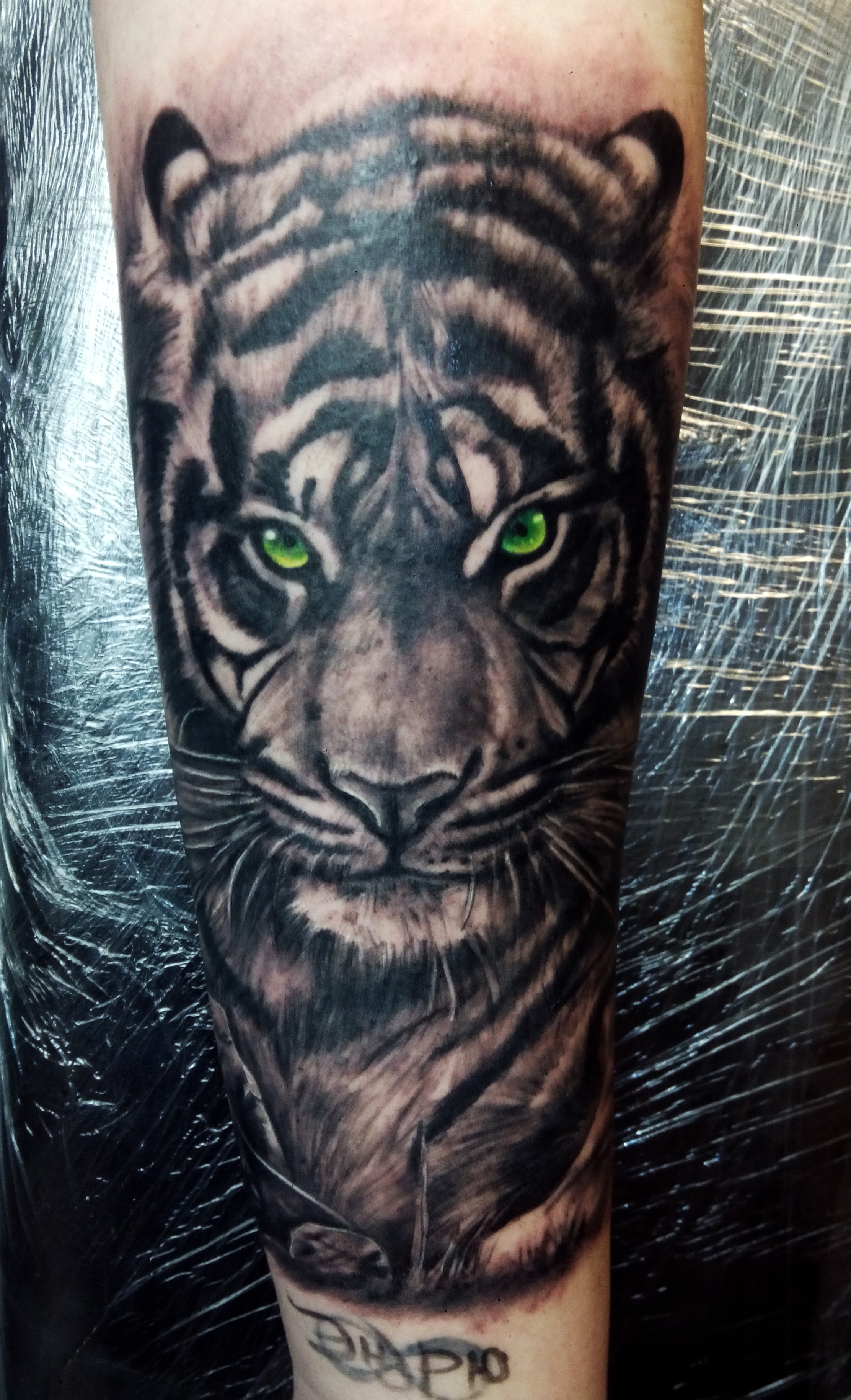 Фотография татуировки под названием «тигр тату»