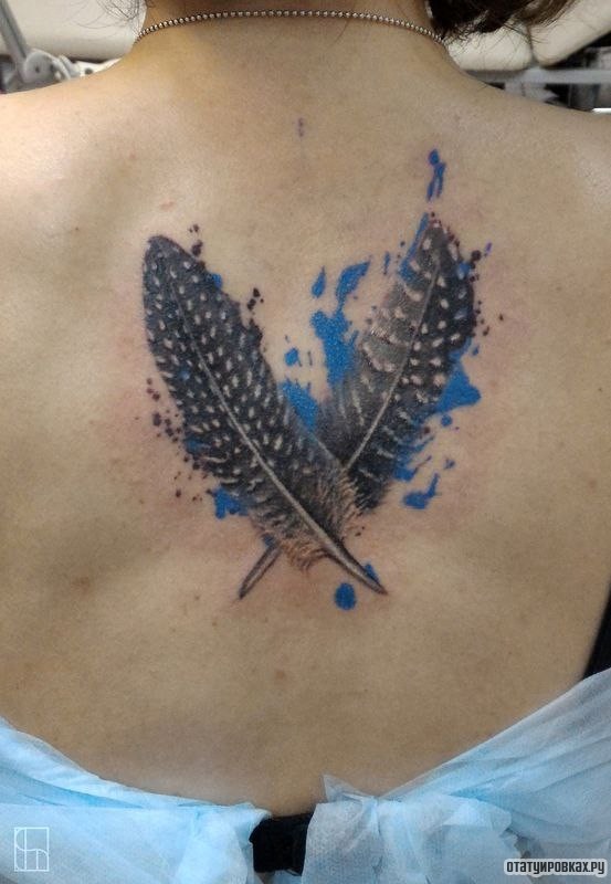 Фотография татуировки под названием «Два пера»
