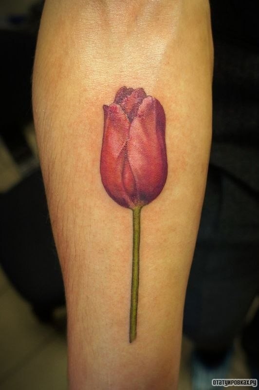 Фотография татуировки под названием «Тюльпан»