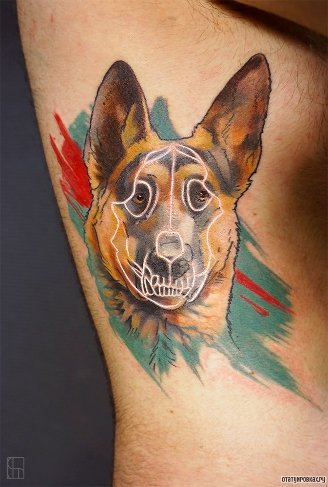 Фотография татуировки под названием «Собака немецкая овчарка»
