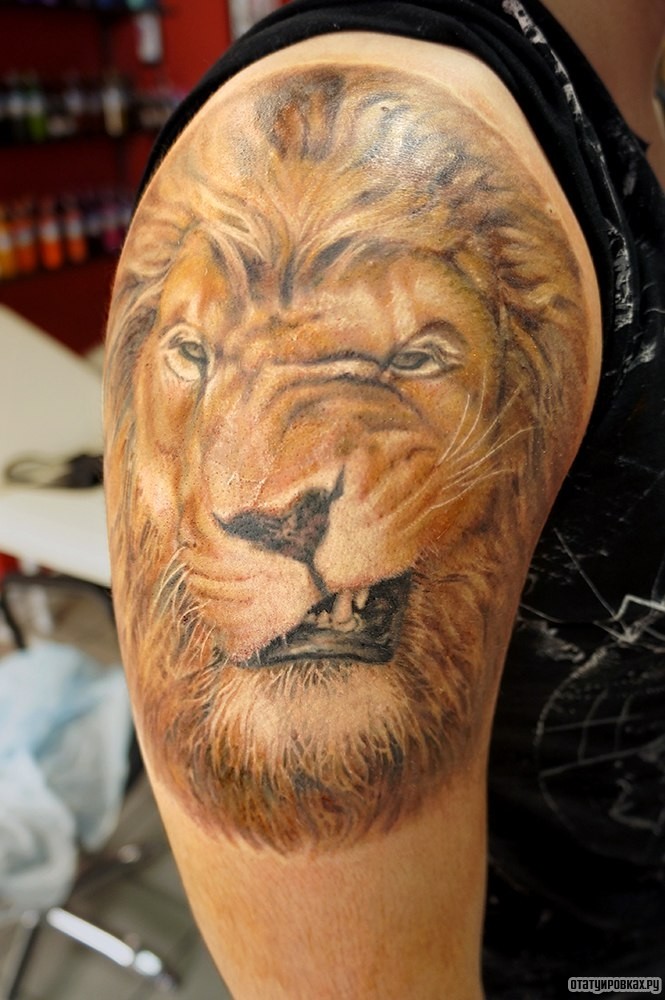Фотография татуировки под названием «Ухмылка льва»