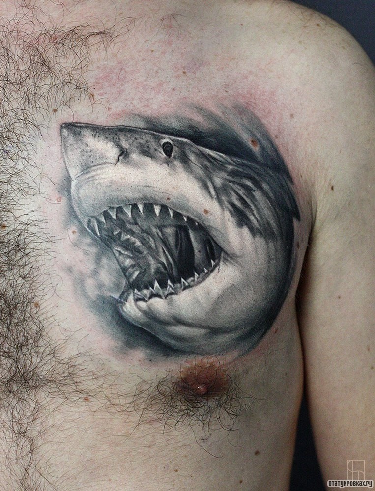 Фотография татуировки под названием «Оскал акулы»