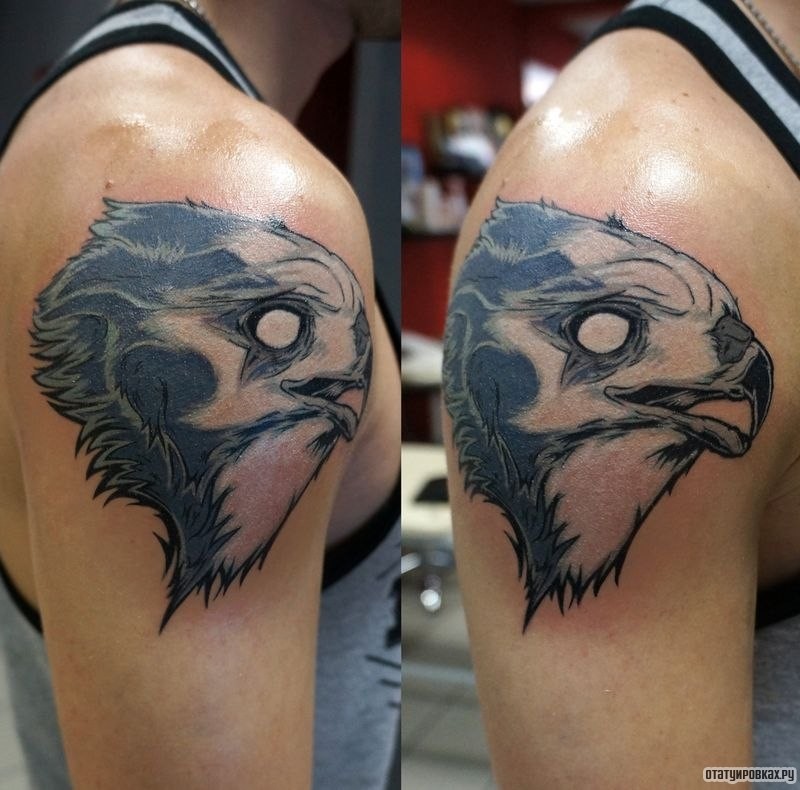 Фотография татуировки под названием «Морда ястреба»