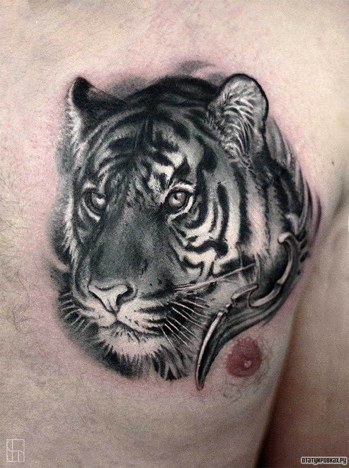 Фотография татуировки под названием «Тигр»