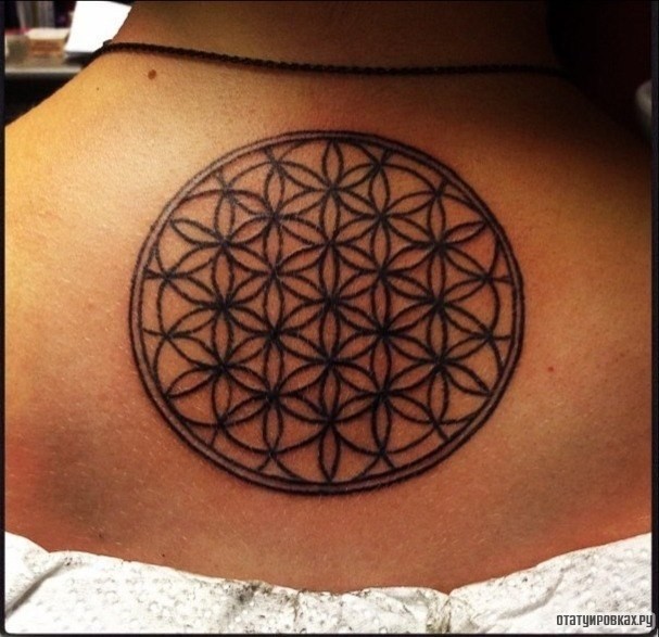 Фотография татуировки под названием «Узор круг»