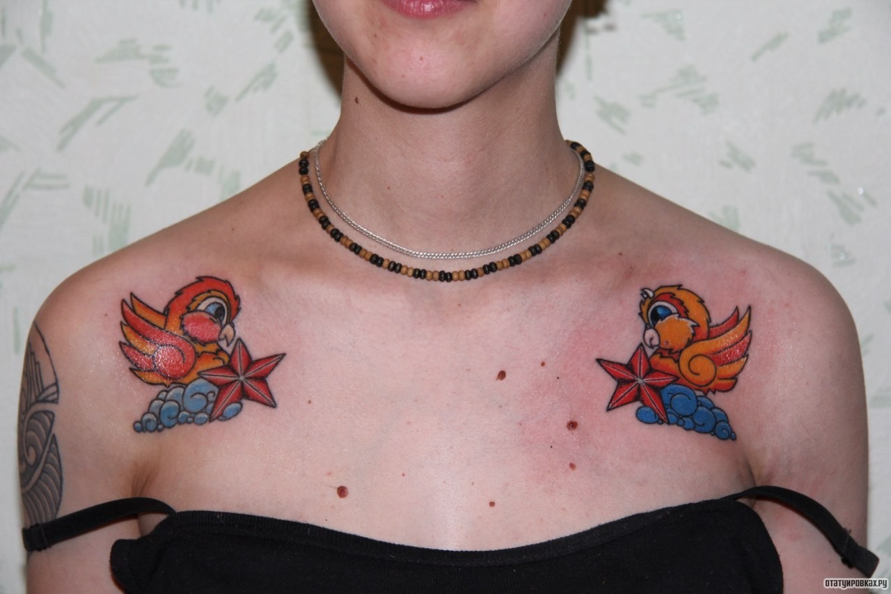 Фотография татуировки под названием «Ласточки и звезды»