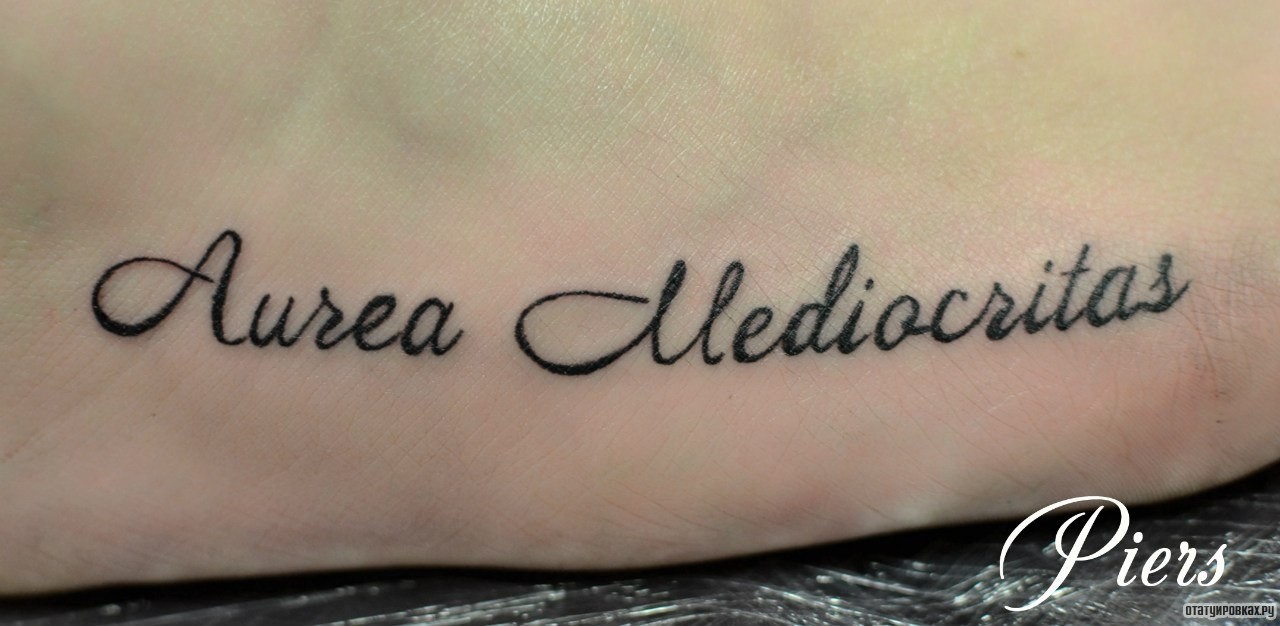 Фотография татуировки под названием «Надпись aurea mediocritas»
