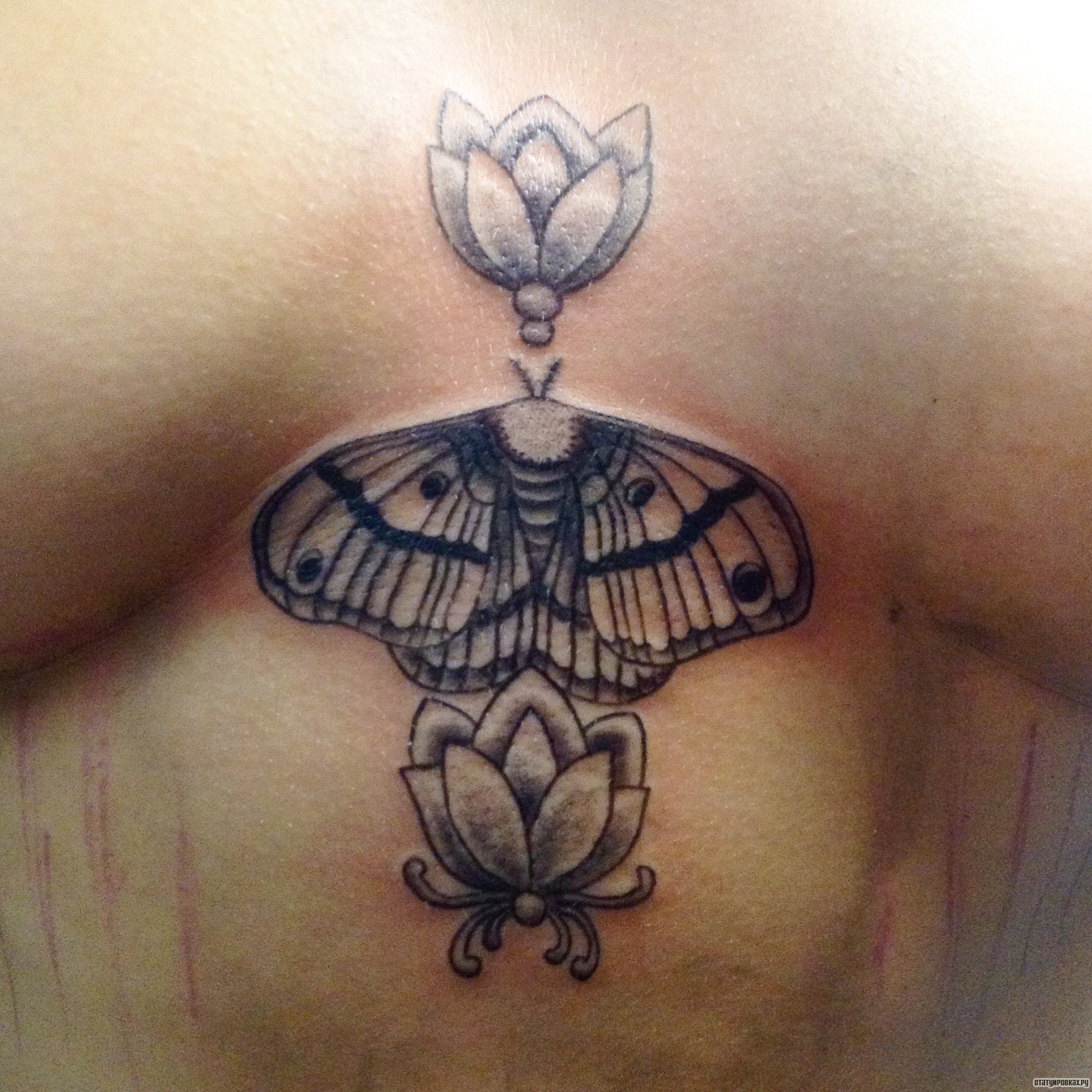 Фотография татуировки под названием «Бабочка и лотос»