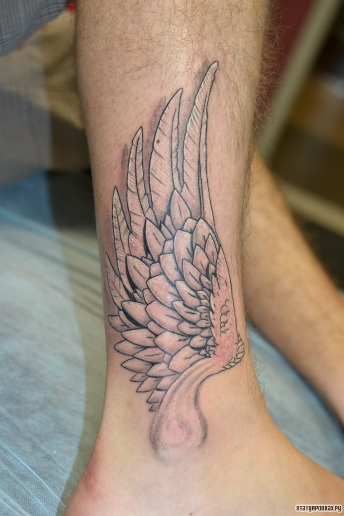 Фотография татуировки под названием «Крыло белое»