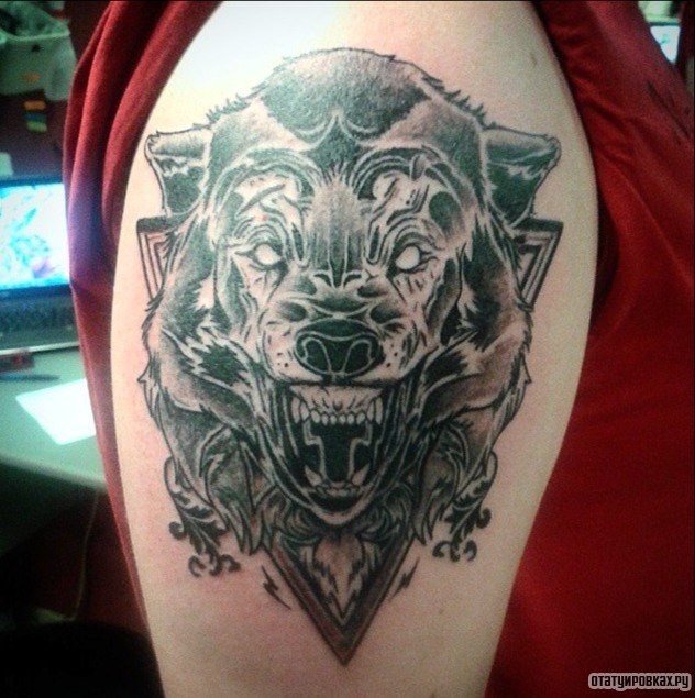 Фотография татуировки под названием «Оскал волка на фоне треугольника»