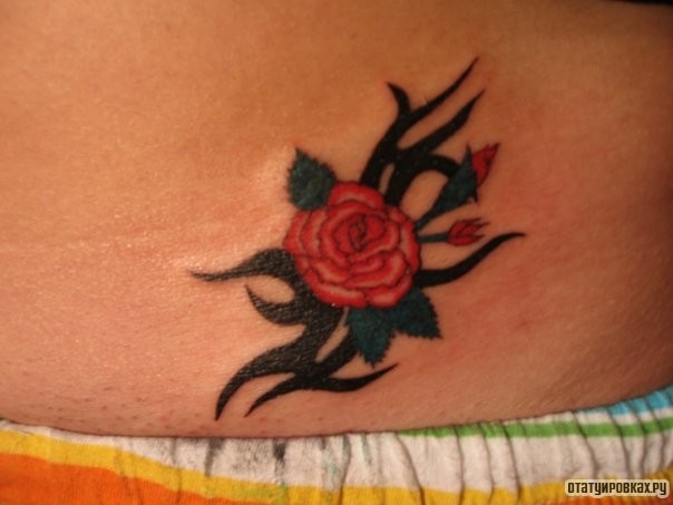 Фотография татуировки под названием «Роза и трайбл узор»