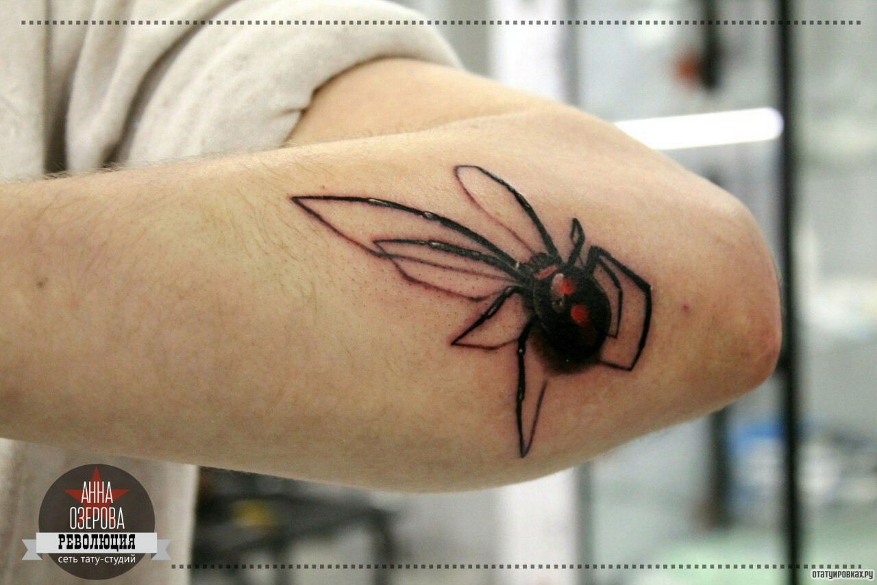 Фотография татуировки под названием «Паук ядовитый»