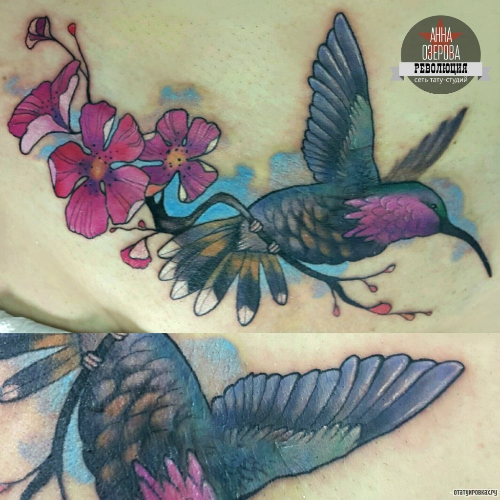 Фотография татуировки под названием «Колибри в сакуре»