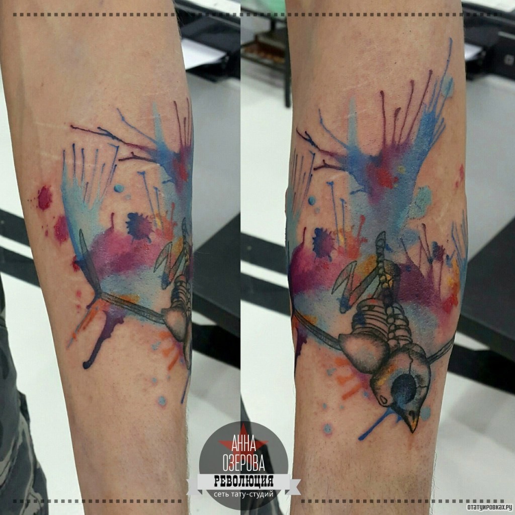 Фотография татуировки под названием «Череп ласточки в красках»