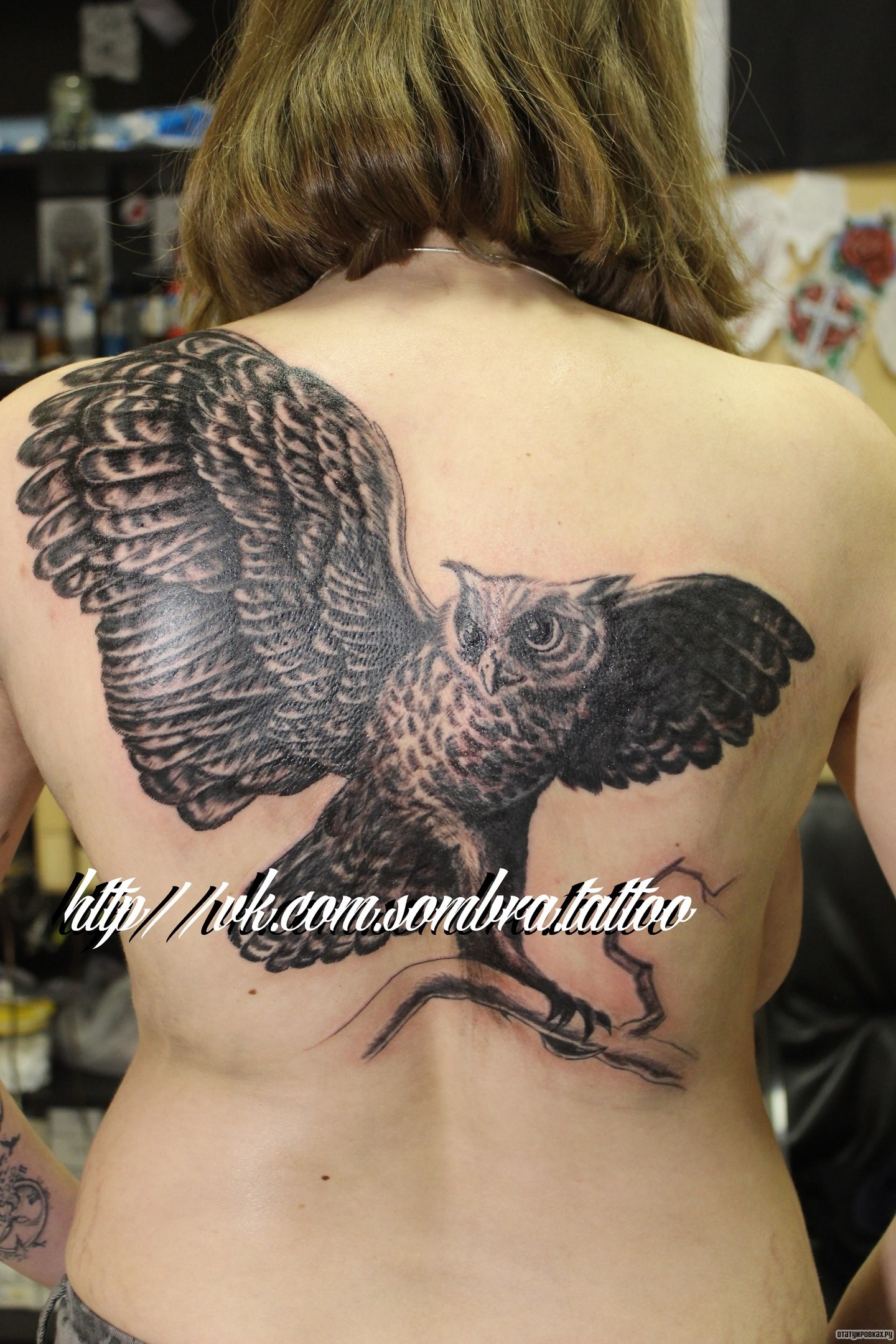 Фотография татуировки под названием «Сова с размахов крыльев»