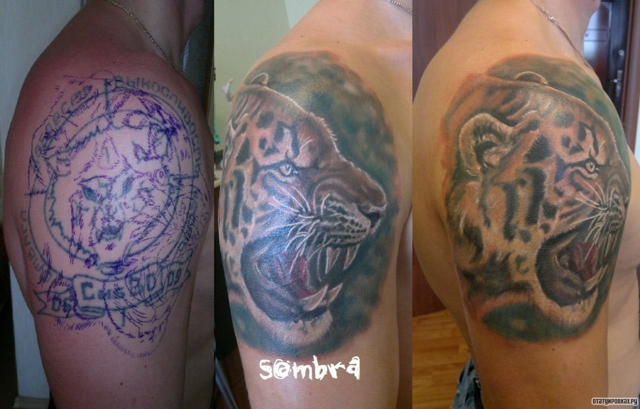 Фотография татуировки под названием «Голова тигра»
